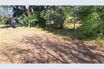 20327  NW 300th St, Okeechobee, FL 34972 - Photo 2