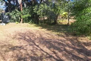 20327 NW 300th St, Okeechobee, FL 34972 - Photo 2