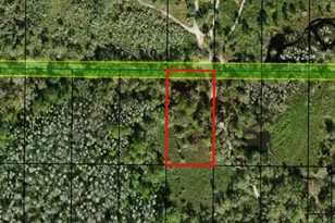 0 County Rd 54 E, Kathleen, FL 33849 - Photo 2