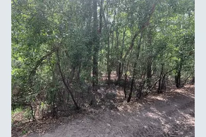 0  County Rd 54 E, Kathleen, FL 33849 - Photo 1