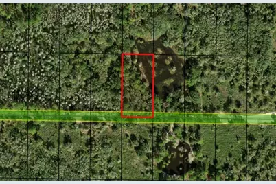 0  County Rd 54 E, Kathleen, FL 33849 - Photo 2