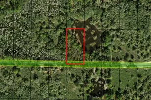 0 County Rd 54 E, Kathleen, FL 33849 - Photo 2