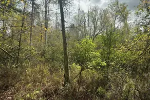 0 County Rd 54 E, Kathleen, FL 33849 - Photo 2