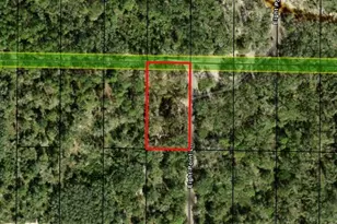 0 County Rd 54 E, Kathleen, FL 33849 - Photo 2