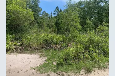 0  County Rd 54 E, Kathleen, FL 33849 - Photo 1