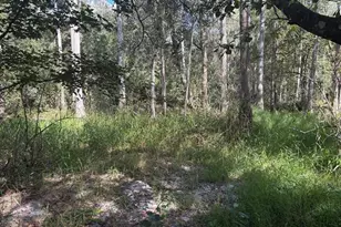 0 County Rd 54 E, Kathleen, FL 33849 - Photo 2