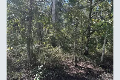 0  County Rd 54 E, Kathleen, FL 33849 - Photo 2