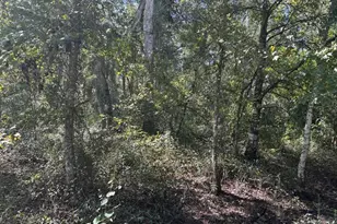 0 County Rd 54 E, Kathleen, FL 33849 - Photo 2