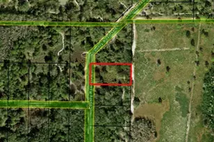 0 County Rd 54 E, Kathleen, FL 33849 - Photo 2