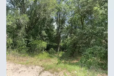 0  County Rd 54 E, Kathleen, FL 33849 - Photo 1