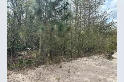 0  County Rd 54 E, Kathleen, FL 33849 - Photo 2