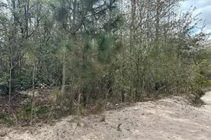 0 County Rd 54 E, Kathleen, FL 33849 - Photo 2