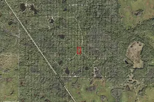 0 County Rd 54 E, Kathleen, FL 33849 - Photo 2