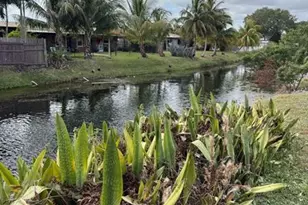 6558 NW 24th Ct, Margate, FL 33063 - Photo 34