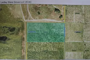 Citrus Grove Atledleyware Citrus Grove Ledleyware Rd, Bartow, FL 33830 - Photo 4