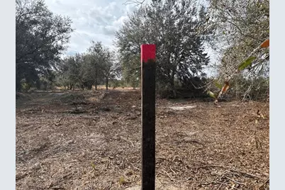 0  NW 296th St, Okeechobee, FL 34972 - Photo 2