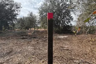 0 NW 296th St, Okeechobee, FL 34972 - Photo 2