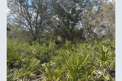 0 NW 300th St, Okeechobee, FL 34972 - Photo 2