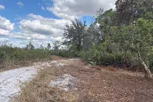 0 NW 302nd St, Okeechobee, FL 34972 - Photo 2