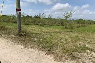 149Xx SW 224 St, Miami, FL 33170 - Photo 8