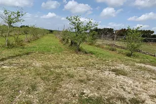 149Xx SW 224 St, Miami, FL 33170 - Photo 2