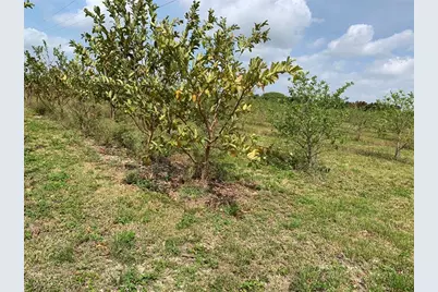 149Xx SW 224 St., Miami, FL 33170 - Photo 4