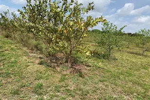 149Xx SW 224 St, Miami, FL 33170 - Photo 4