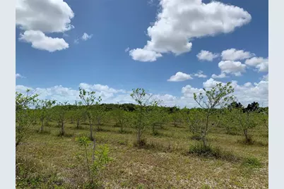 149Xx SW 224 St., Miami, FL 33170 - Photo 6