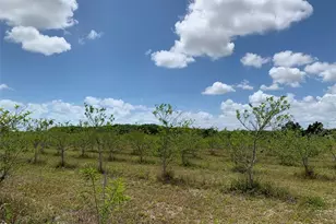 149Xx SW 224 St, Miami, FL 33170 - Photo 6