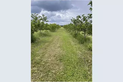 149Xx SW 224 St., Miami, FL 33170 - Photo 12