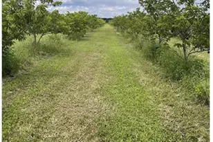 149Xx SW 224 St, Miami, FL 33170 - Photo 12