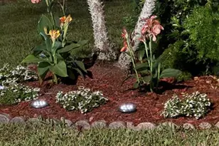 39 Tilford B, Deerfield Beach, FL 33442 - Photo 12