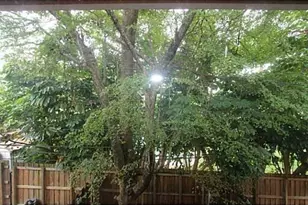 140 SE 12th Ave, Pompano Beach, FL 33060 - Photo 24