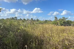 15463 NW 256th St, Okeechobee, FL 34972 - Photo 2