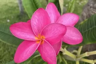 2611 NE 20th St, Pompano Beach, FL 33062 - Photo 32