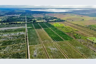 3288  Auburn St, Lorida, FL 33857 - Photo 4