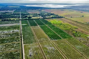 3288 Auburn St, Lorida, FL 33857 - Photo 4