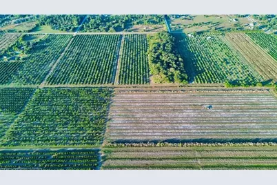 1050  Arbuckle Creek Rd, Lorida, FL 33857 - Photo 6