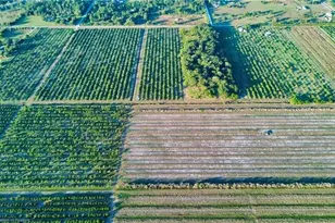 1050 Arbuckle Creek Rd, Lorida, FL 33857 - Photo 6