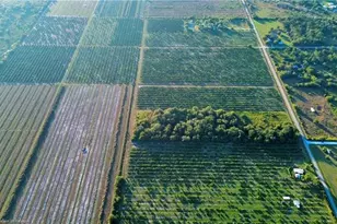 2413 Hicks Rd, Lorida, FL 33857 - Photo 2