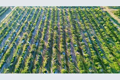 2233  Hicks Rd, Lorida, FL 33857 - Photo 4