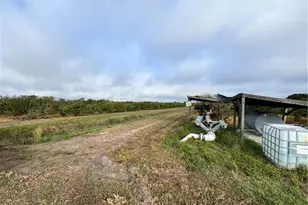 2205 Hicks Rd, Lorida, FL 33857 - Photo 22