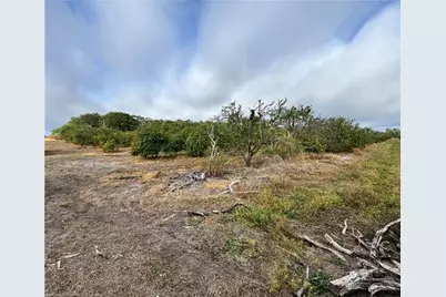 2205  Hicks Rd, Lorida, FL 33857 - Photo 12