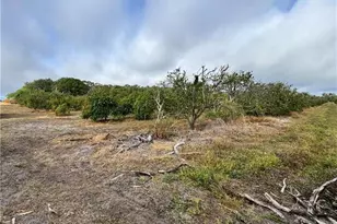 2205 Hicks Rd, Lorida, FL 33857 - Photo 12