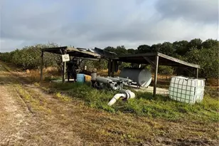 2205 Hicks Rd, Lorida, FL 33857 - Photo 14