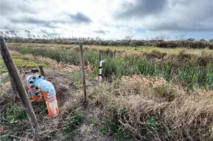 2205 Hicks Rd, Lorida, FL 33857 - Photo 26