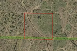 0 NW 310th St, Okeechobee, FL 34972 - Photo 2