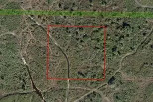 0 NW 310th St, Okeechobee, FL 34972 - Photo 2