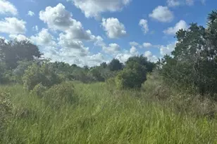 0 NW 316th St, Okeechobee, FL 34972 - Photo 2
