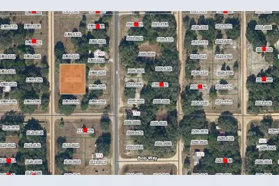 0  Lenore Ave, Interlachen, FL 32148 - Photo 1